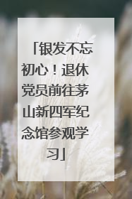 银发不忘初心！退休党员前往茅山新四军纪念馆参观学习