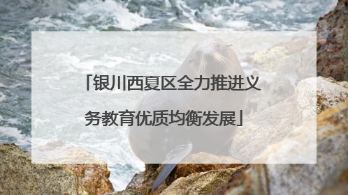 银川西夏区全力推进义务教育优质均衡发展