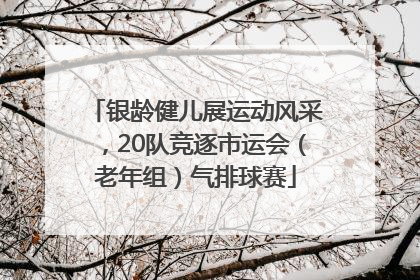 银龄健儿展运动风采，20队竞逐市运会（老年组）气排球赛