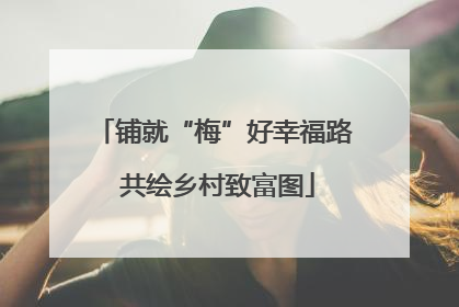 铺就“梅”好幸福路 共绘乡村致富图