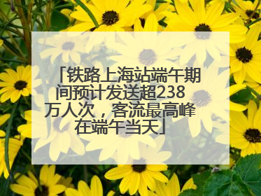 铁路上海站端午期间预计发送超238万人次，客流最高峰在端午当天