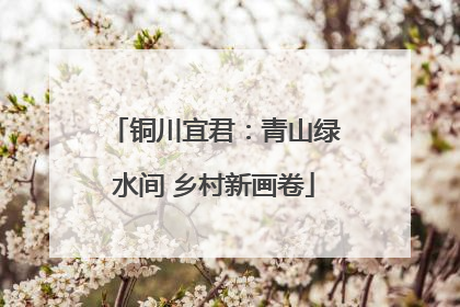 铜川宜君：青山绿水间 乡村新画卷