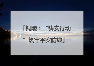 铜陵：“铸安行动”筑牢平安防线