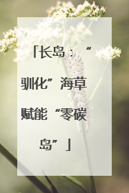 长岛：“驯化”海草赋能“零碳岛”