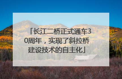 长江二桥正式通车30周年，实现了斜拉桥建设技术的自主化