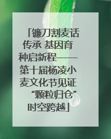 镰刀割麦话传承 基因育种启新程——第十届杨凌小麦文化节见证“颗粒归仓”时空跨越