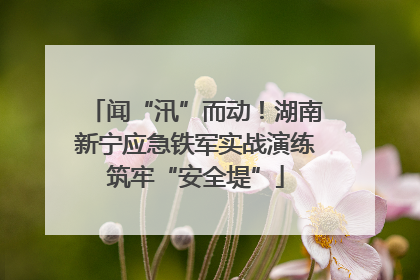 闻“汛”而动！湖南新宁应急铁军实战演练筑牢“安全堤”