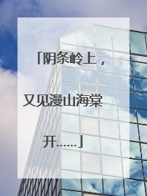 阴条岭上，又见漫山海棠开……
