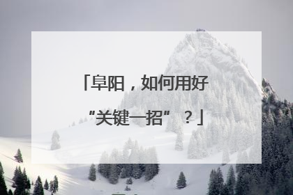 阜阳，如何用好“关键一招”？