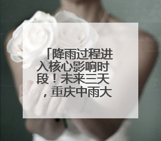 降雨过程进入核心影响时段！未来三天，重庆中雨大雨暴雨