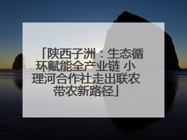 陕西子洲：生态循环赋能全产业链 小理河合作社走出联农带农新路径