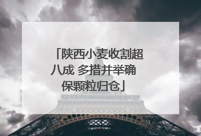 陕西小麦收割超八成 多措并举确保颗粒归仓