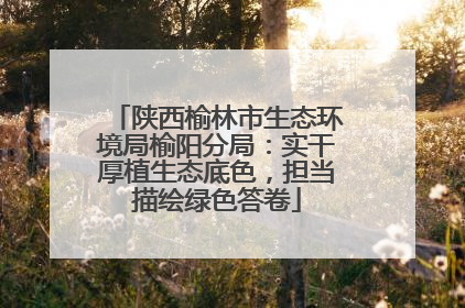 陕西榆林市生态环境局榆阳分局：实干厚植生态底色，担当描绘绿色答卷
