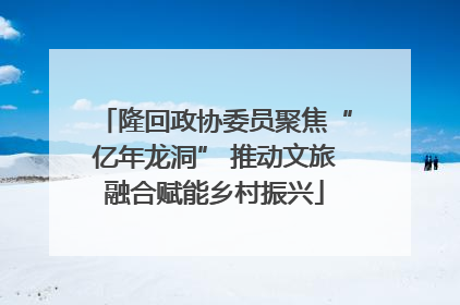 隆回政协委员聚焦“亿年龙洞” 推动文旅融合赋能乡村振兴