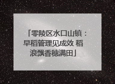零陵区水口山镇：早稻管理见成效 稻浪飘香穗满田