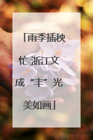 雨季插秧忙 浙江文成“丰”光美如画