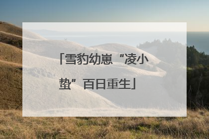 雪豹幼崽“凌小蛰”百日重生