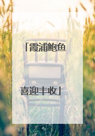 霞浦鲍鱼喜迎丰收