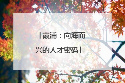 霞浦：向海而兴的人才密码