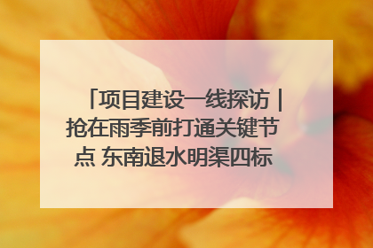 项目建设一线探访｜抢在雨季前打通关键节点 东南退水明渠四标段项目顺利完工
