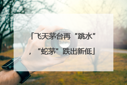 飞天茅台再“跳水”，“蛇茅”跌出新低
