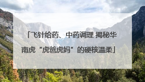 飞针给药、中药调理 揭秘华南虎“虎爸虎妈”的硬核温柔