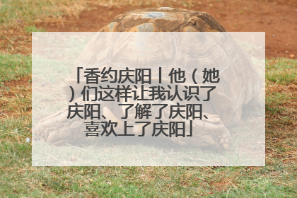 香约庆阳丨他（她）们这样让我认识了庆阳、了解了庆阳、喜欢上了庆阳