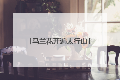 马兰花开遍太行山