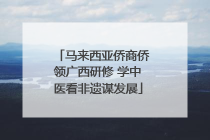 马来西亚侨商侨领广西研修 学中医看非遗谋发展