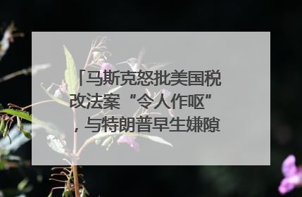 马斯克怒批美国税改法案“令人作呕”，与特朗普早生嫌隙？｜国际识局