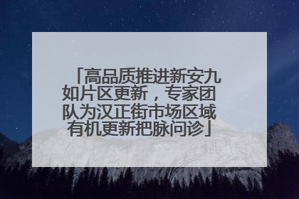 高品质推进新安九如片区更新，专家团队为汉正街市场区域有机更新把脉问诊