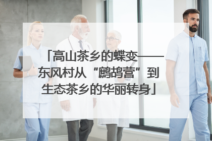 高山茶乡的蝶变——东风村从“鹧鸪营”到生态茶乡的华丽转身