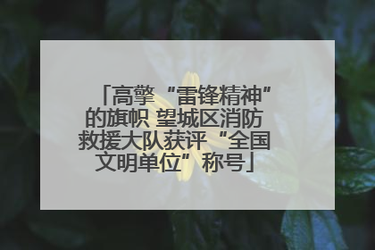 高擎“雷锋精神”的旗帜 望城区消防救援大队获评“全国文明单位”称号