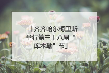 齐齐哈尔梅里斯举行第三十八届“库木勒”节
