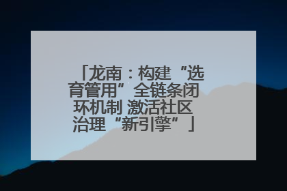 龙南：构建“选育管用”全链条闭环机制 激活社区治理“新引擎”