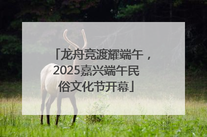 龙舟竞渡耀端午，2025嘉兴端午民俗文化节开幕