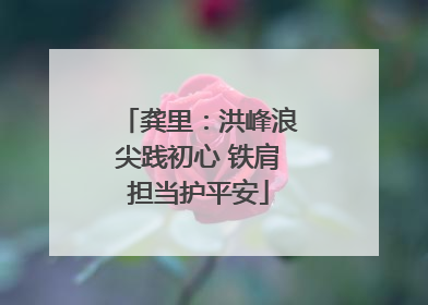 龚里：洪峰浪尖践初心 铁肩担当护平安