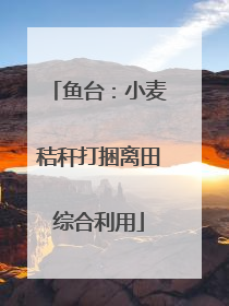 鱼台：小麦秸秆打捆离田综合利用