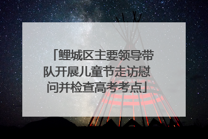 鲤城区主要领导带队开展儿童节走访慰问并检查高考考点