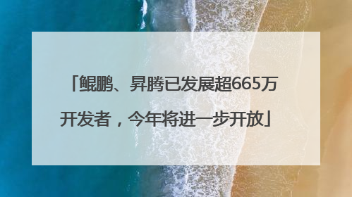 鲲鹏、昇腾已发展超665万开发者，今年将进一步开放