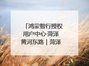鸿蒙智行授权用户中心·菏泽黄河东路｜菏泽首店盛大开业