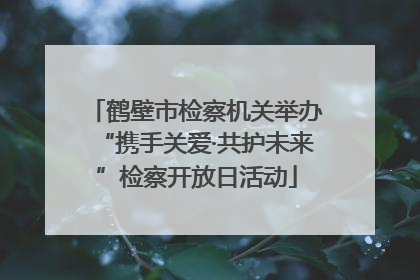 鹤壁市检察机关举办“携手关爱·共护未来”检察开放日活动