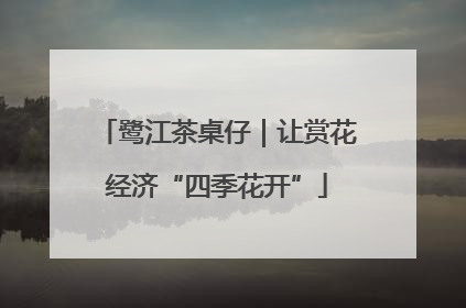 鹭江茶桌仔｜让赏花经济“四季花开”