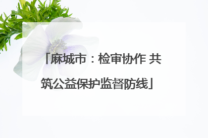 麻城市：检审协作 共筑公益保护监督防线