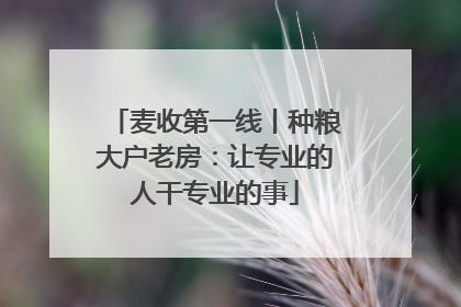 麦收第一线丨种粮大户老房：让专业的人干专业的事