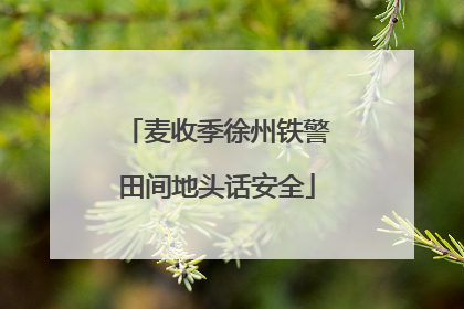 麦收季徐州铁警田间地头话安全