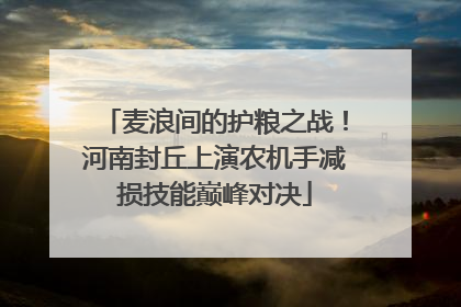麦浪间的护粮之战！河南封丘上演农机手减损技能巅峰对决