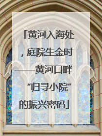 黄河入海处，庭院生金时——黄河口畔“归寻小院”的振兴密码