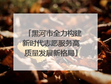 黑河市全力构建新时代志愿服务高质量发展新格局