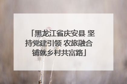 黑龙江省庆安县 坚持党建引领 农旅融合铺就乡村共富路